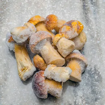 Frozen Mushrum (46)-5103747-27656.webp